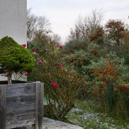 Holiday home Des Pins - 6 Pers, Jacuzzi, Jardin, Parking Cayeux-sur-Mer